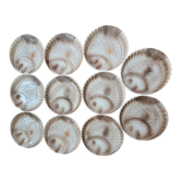 11 plates fish Sarreguemines