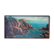 Tableau Louis Vigon