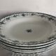 5 hollow plates - Saint Amand - Argenton model