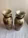 Paire de vases
