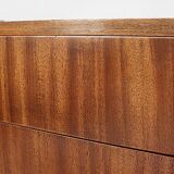 Bar furniture in mahogany veneer 1950