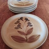 Flat plates sandstone of the marsh