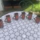 6 enamelled ceramic mugs, red and brown, Vallauris, vintage and designer