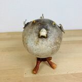 Pentadon globe fish naturalized on base cabinet of curiosity