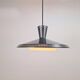 Vintage Pendant Light by Louis Kalff for Philips, 1960