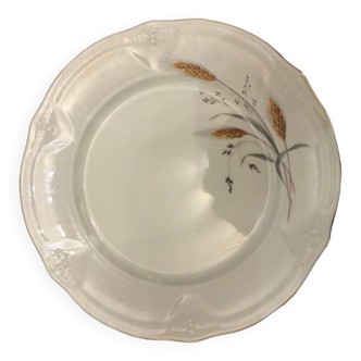 Service of 24 Limoges porcelain plates
