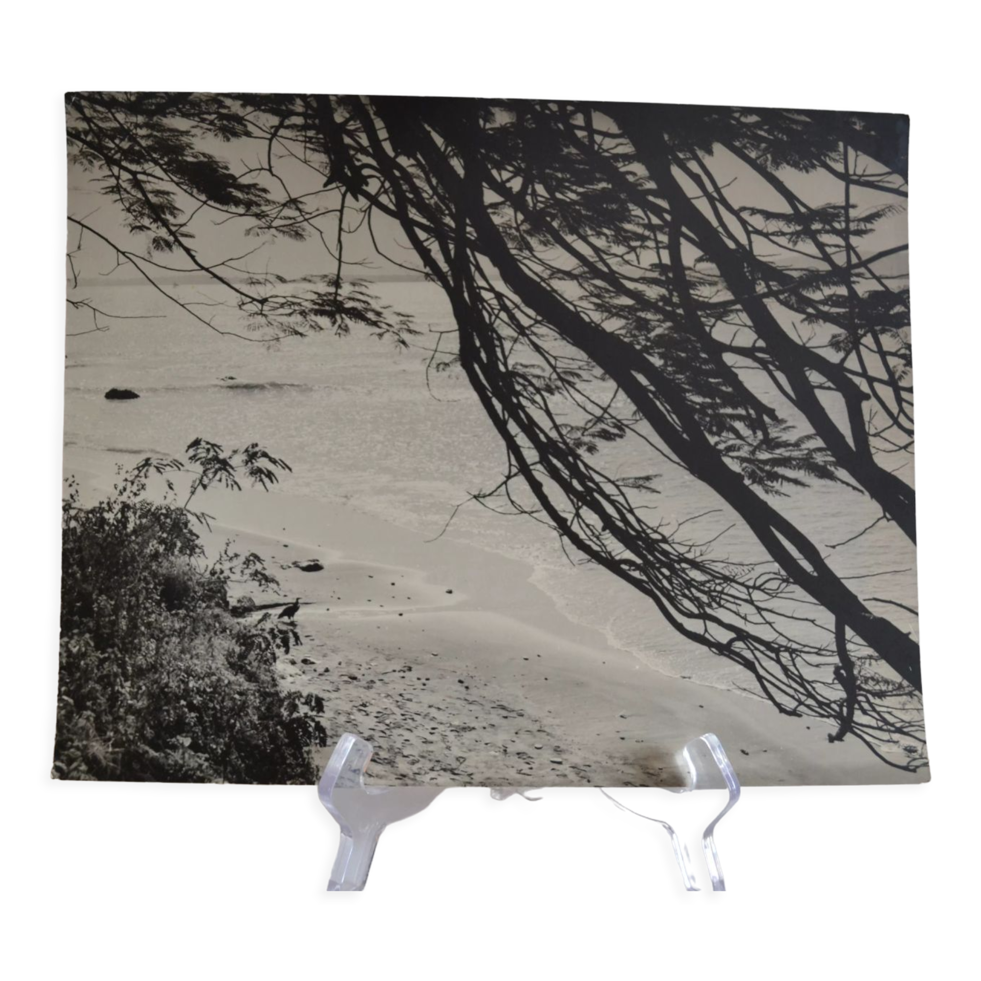 Anonymous silver photo africa beach sea circa 1970