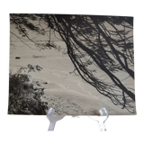 Anonymous silver photo africa beach sea circa 1970