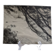 Anonymous silver photo africa beach sea circa 1970