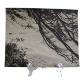 Anonymous silver photo africa beach sea circa 1970