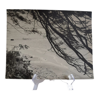 Anonymous silver photo africa beach sea circa 1970