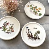 6 under glass porcelain 1970