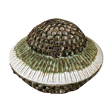 Mid-century ceramic wall lam