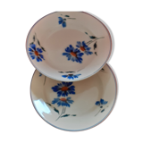 2 plates dessert of 50s