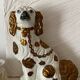 Chien Straffordshire , cavalier King, Charles