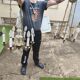 Pair of antique church chandeliers