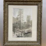 aquarelle originale encadrée