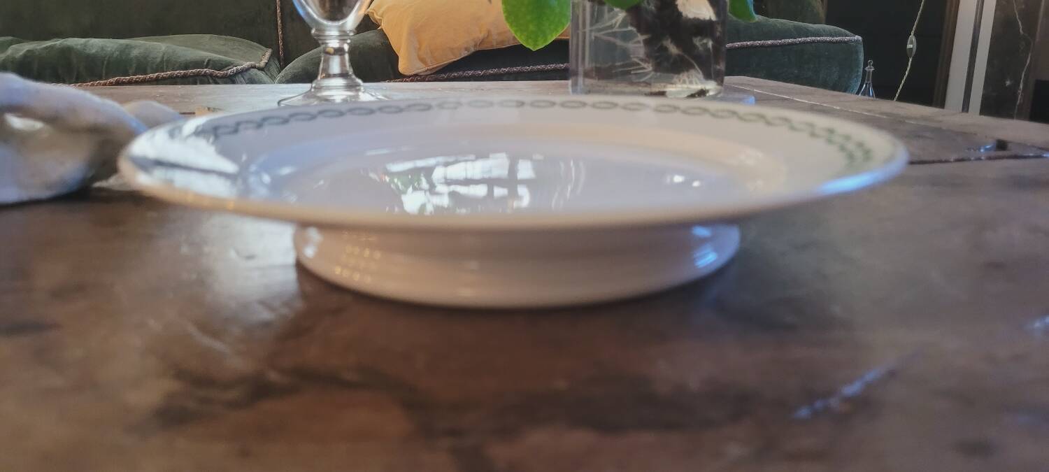 Sarreguemines iron earth plate