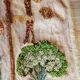Polish Kilim Tapestry