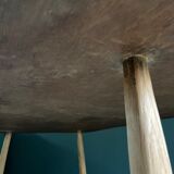 Free-form raw wood coffee table