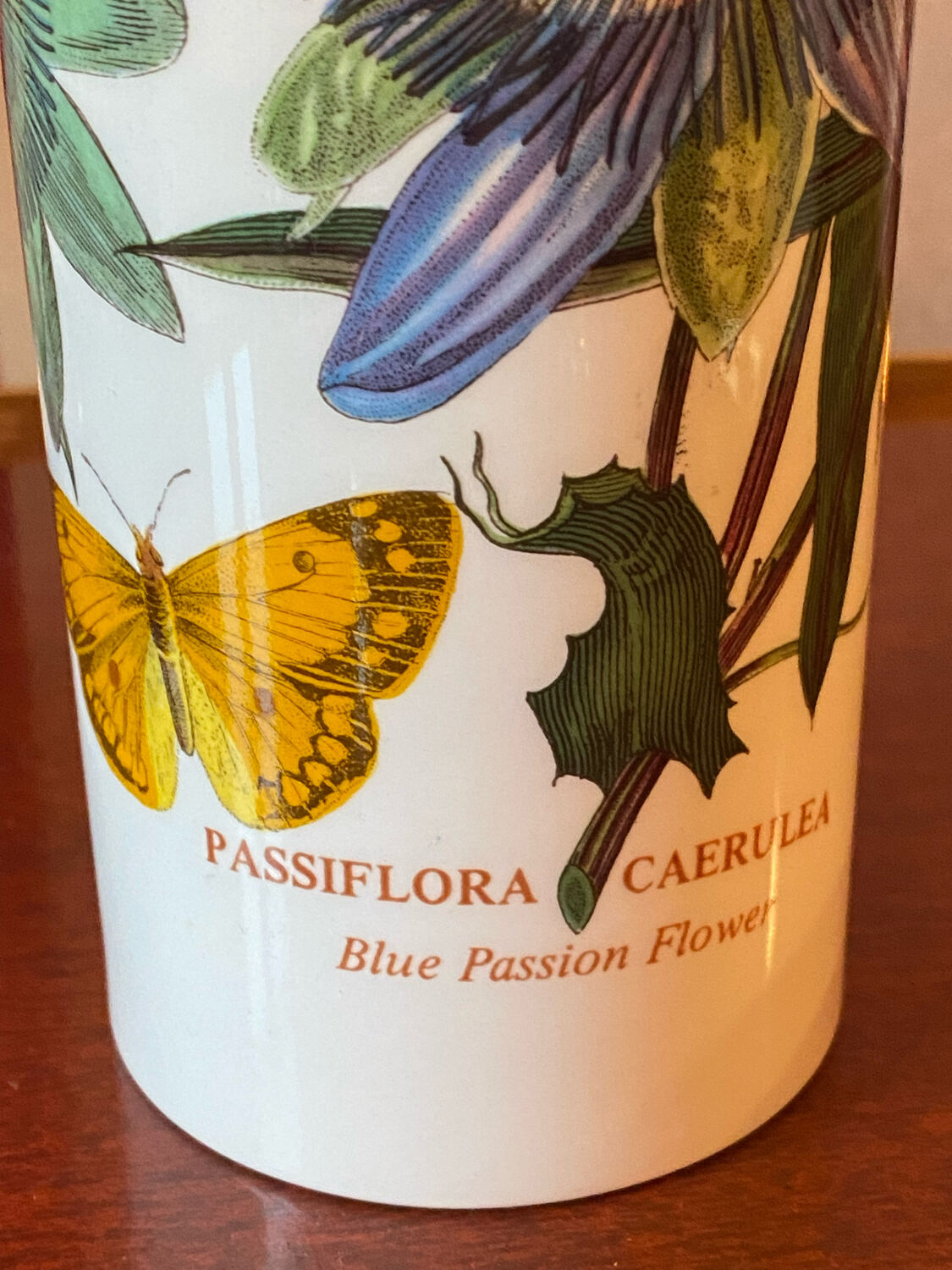 Portmeirion vase the botanical garden