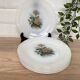 Set of 6 Arcopal Rose de France dessert plates