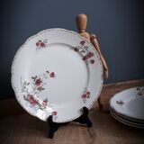 5 flat plates Iron Earth