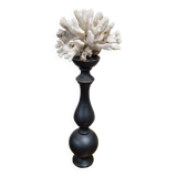 Coral on base