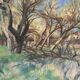 Forest landscape signed Taquoy
