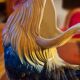 Dlg earthenware rooster from st clément