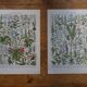 Lithographies originales sur les plantes médicinales