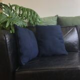 Pair of blue cushions