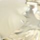 Silver-Plated Shell Butter Dish Caviar Holder Made in England