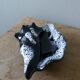 Black ceramic and foam shell ashtray
