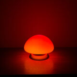 Mushroom touch lamp