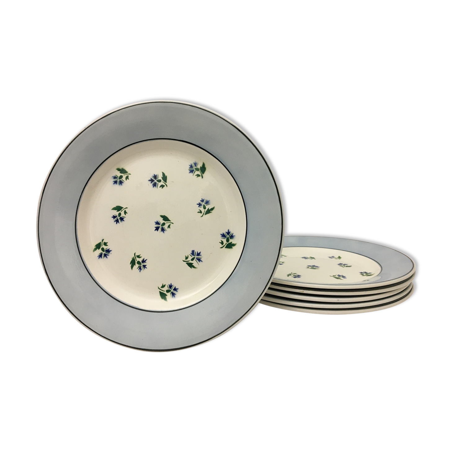 Set of 6 plates flat "digoin sarreguemines" model albe