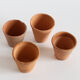 Pots en terre cuite