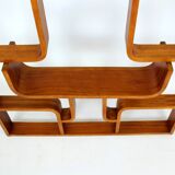 Restored Mid-Century Room Divider by L. Volak for Drevopodnik Holesov, 1960s