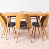 Dining Table with Set of 4 Dining Chairs by Antonin Šuman, Fully Restored