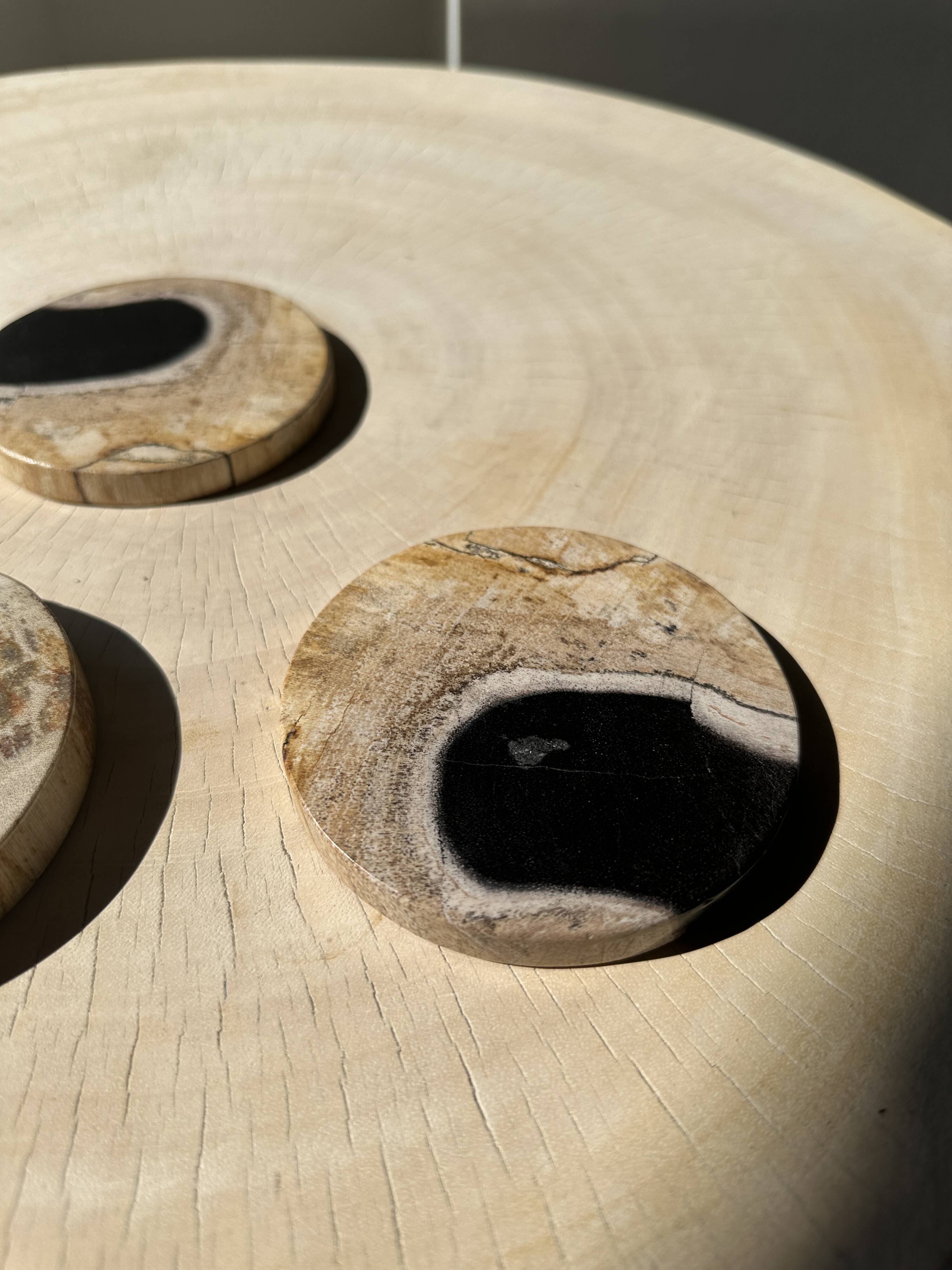 Set of 3 fossilized wood coasters (clear)