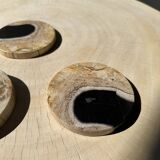 Set of 3 fossilized wood coasters (clear)