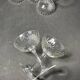 6 coupes à champagne Baccarat service Paris