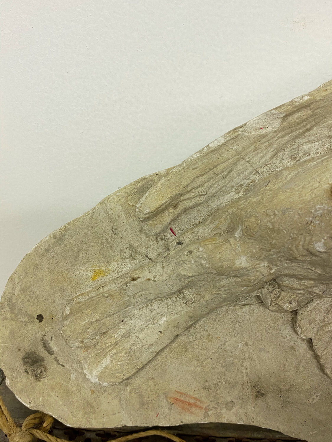Plaster bas-relief