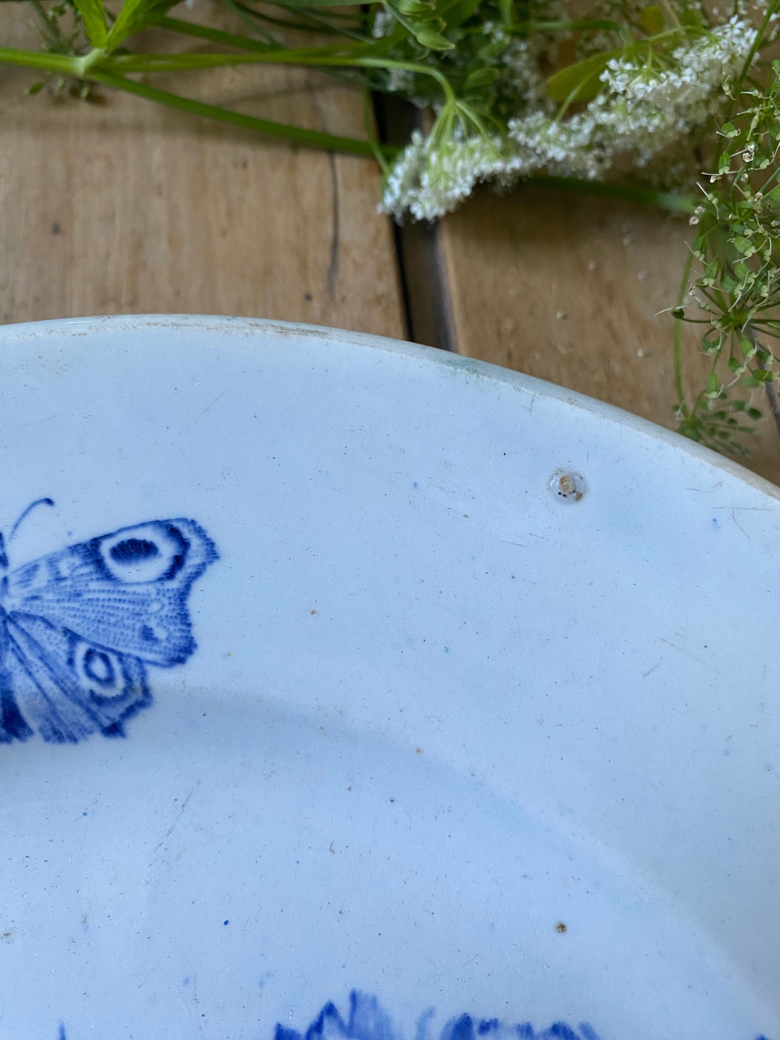 Plate decorated with blue birds and butterflies