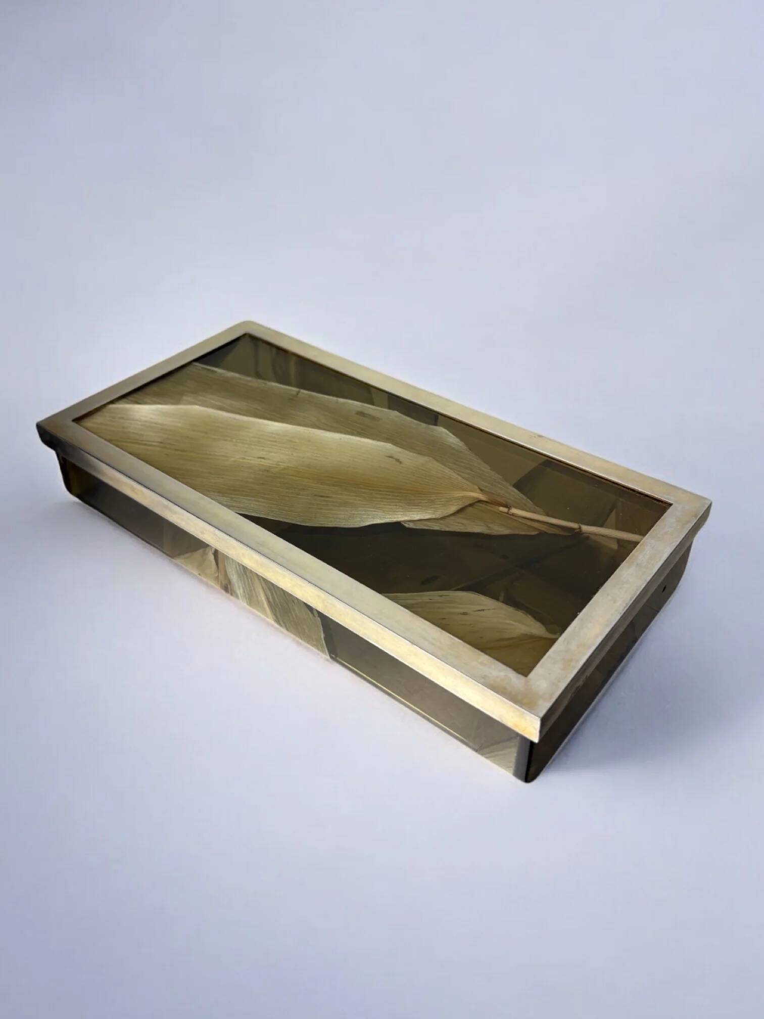 Aldo Tura style vanity box in lucite with dry tobacco leaves, 1970s