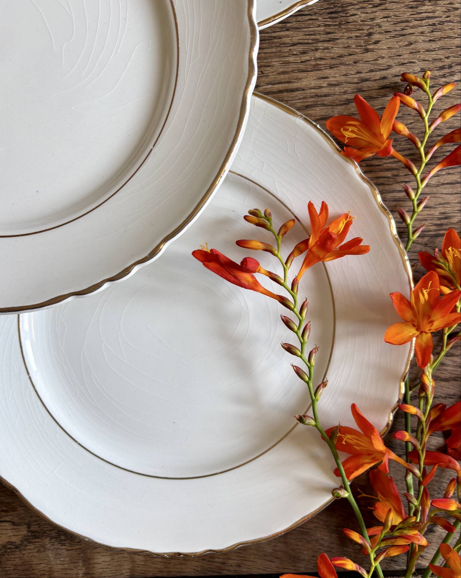 Set of 8 vintage dessert plates Moulin des Loups