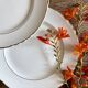 Set of 8 vintage dessert plates Moulin des Loups