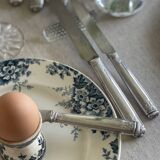 9 mismatched blue ironstone plates