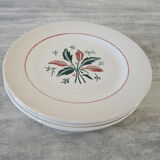 5 anciennes assiettes plates – faïencerie l’amandinoise 6541