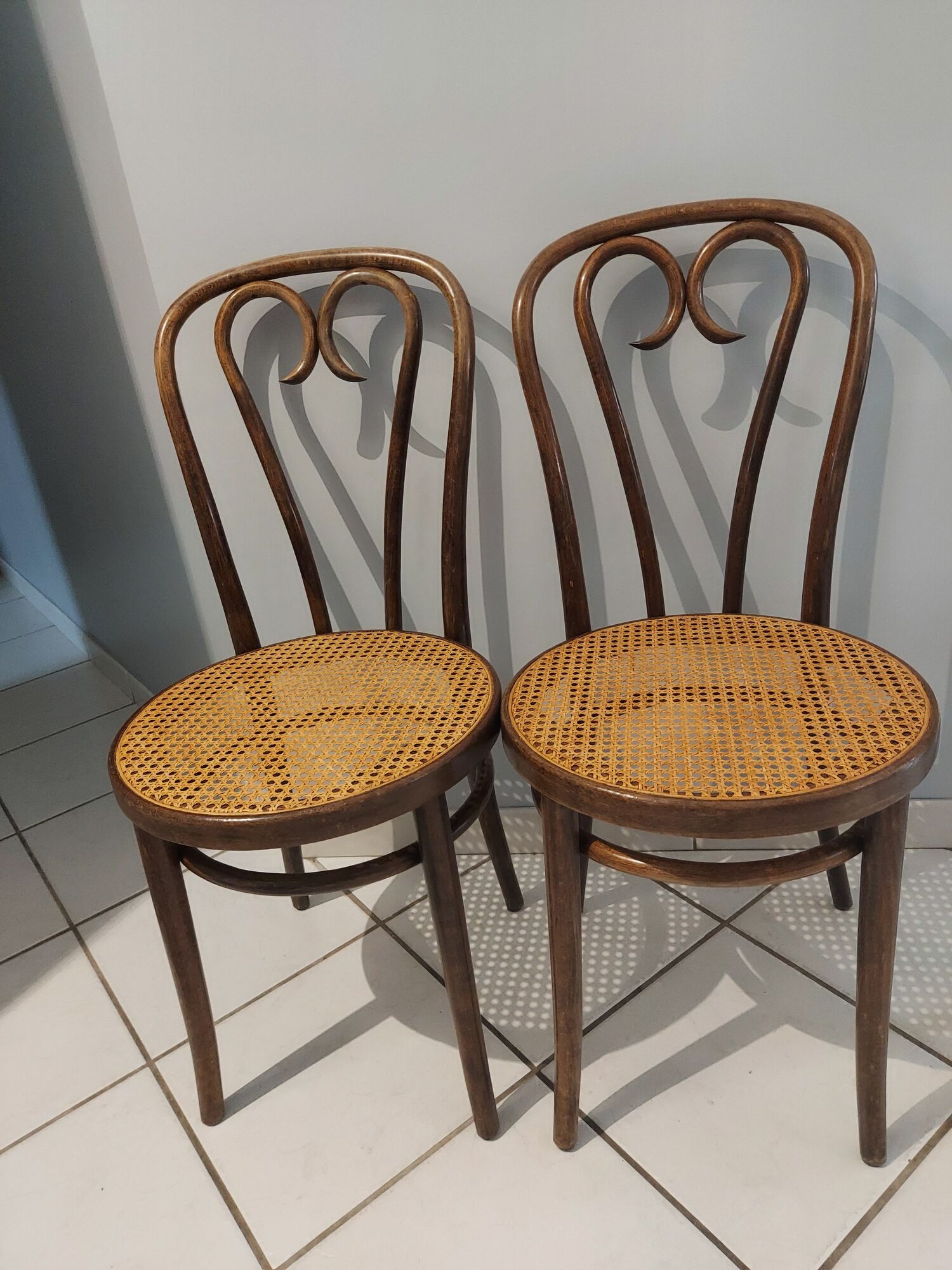 Suite of 4 chairs by Bistrot Thonet and Fischel